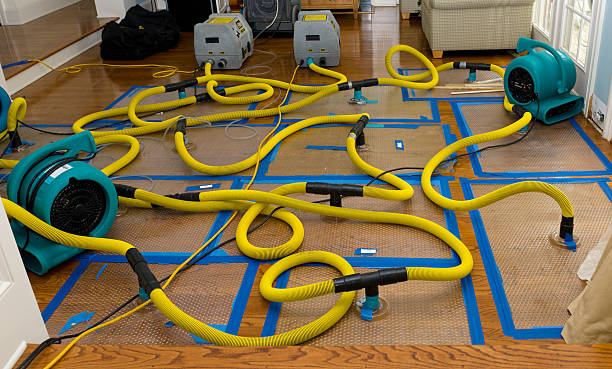 Professional Sewage Cleanup technician working in Saint Clair, MN